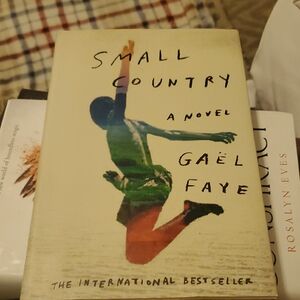 Small Country: A Novel by Gaël Faye (2018, Hardcover). Used condition.
